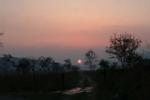 Rajaji National Park